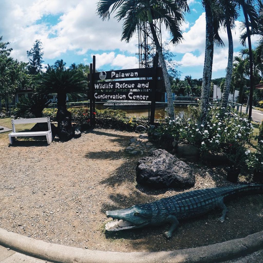Palawan Rescue and Conservation Center