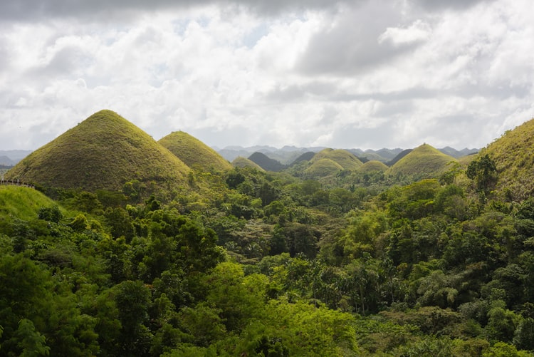 The Ultimate Bohol Guide for AVLCI Members